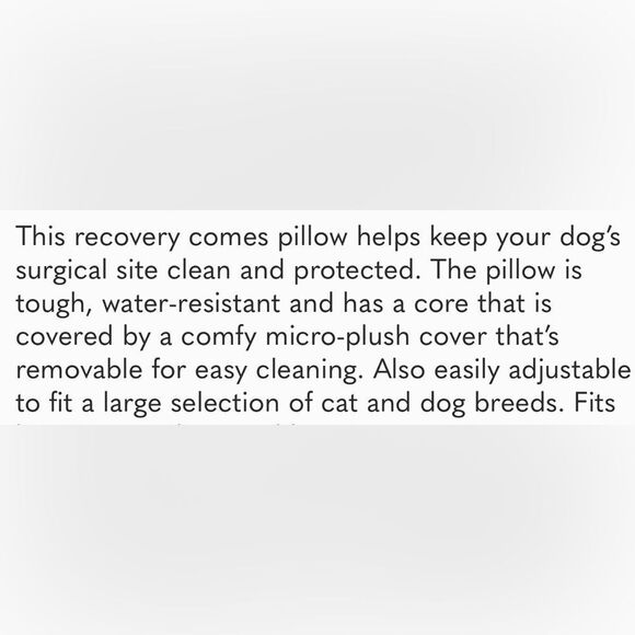 Pet Recovery Collar Cheetah Print Adjustable Comfurt Collar - Picture 7 of 7